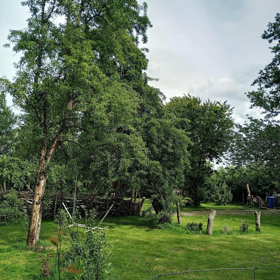 Ferienwohnung-Im-Karolinenkoog-Erholung-Zwischen-Feld-Und-Deich Dış mekan fotoğraf
