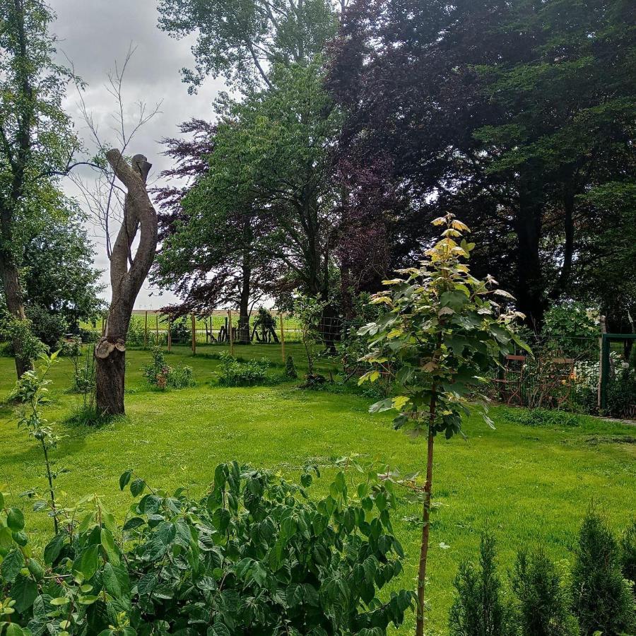 Ferienwohnung-Im-Karolinenkoog-Erholung-Zwischen-Feld-Und-Deich Dış mekan fotoğraf
